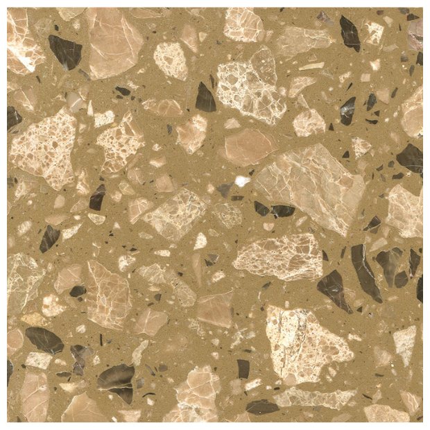 Rainforest Brown