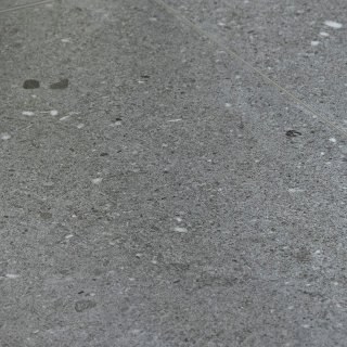 Pasco Grey